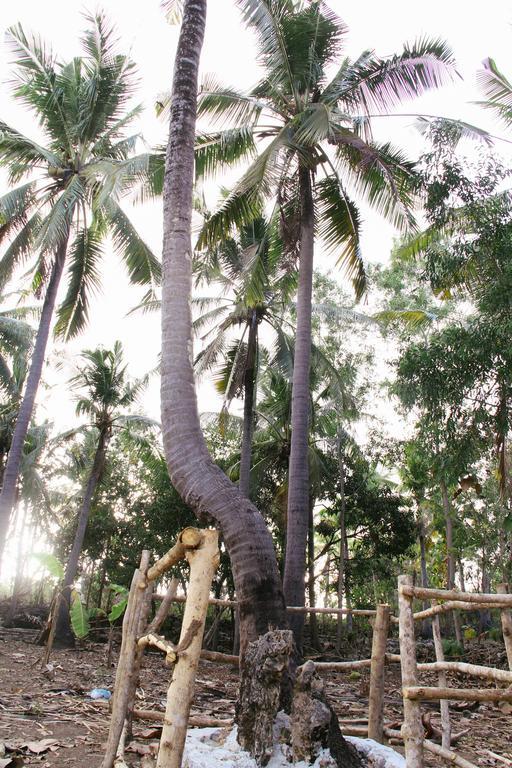 Nyuh Bengkok Tree House Batununggul Exterior foto